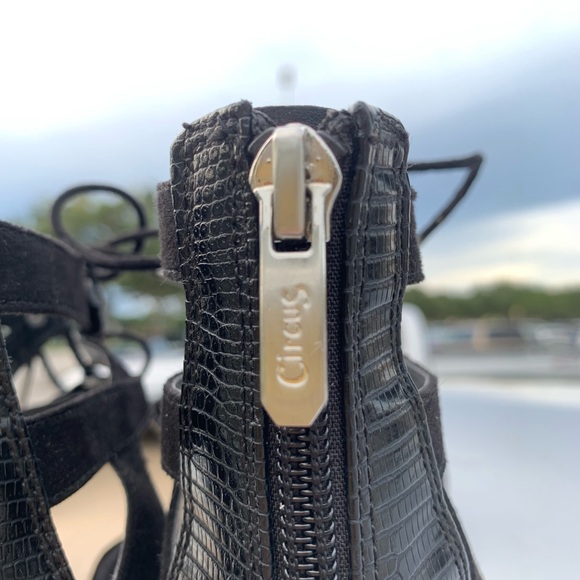 👀EUC👀 Circus by Sam Elderman HAVEN - Picture 3 of 5